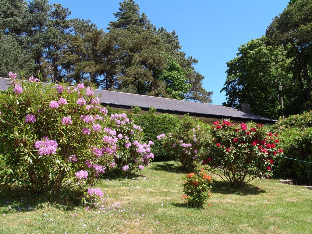 לאנפיירפכאן Plas Heulog Holiday Accommodation מראה חיצוני תמונה